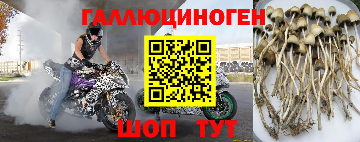 Псилоцибиновые грибы ЛСД Красный Сулин