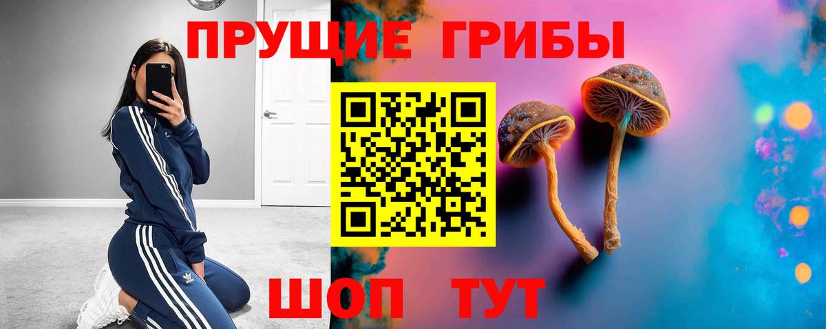 магазин продажи   Вход с VPN  Красный Сулин  Галлюциногенные грибы Psilocybe  Галлюциногенные грибы Magic Shrooms 